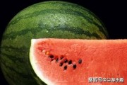 娱乐吃瓜酱西瓜